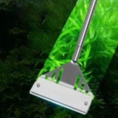 Aquarium stainless steel fish - steel,