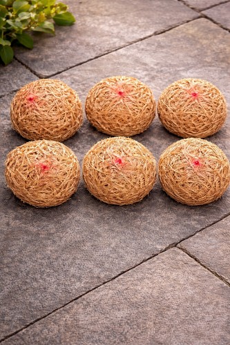 Pack barley straw for ponds - 6,