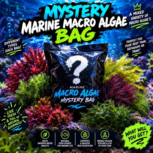 Mystery marine macro - marine, bag