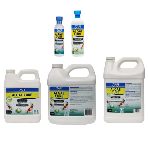 Api pond algae cure rapidly - pond,