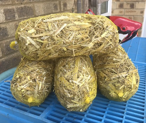 Barley straw logs for - logs,