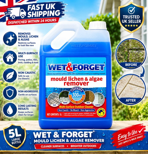Wet forget mould lichen - wet, &