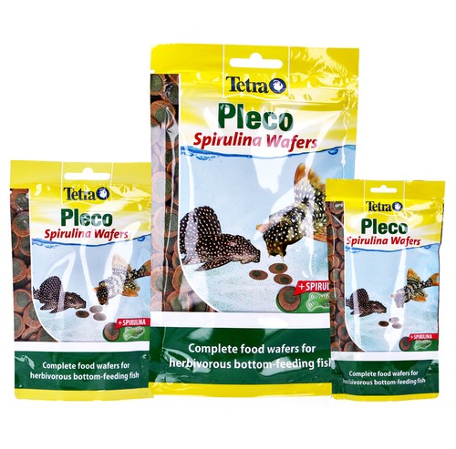 Tetra pleco spirulina algae - spirulina,