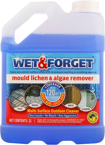 Wet forget mould lichen - wet,