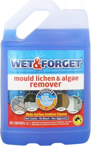 Wet forget mould - &,