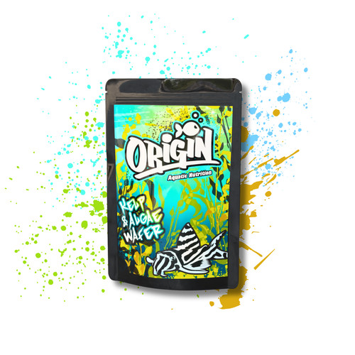 Origin kelp and algae - origin,
