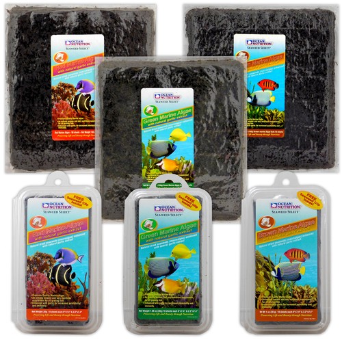 Ocean nutrition marine - ocean,